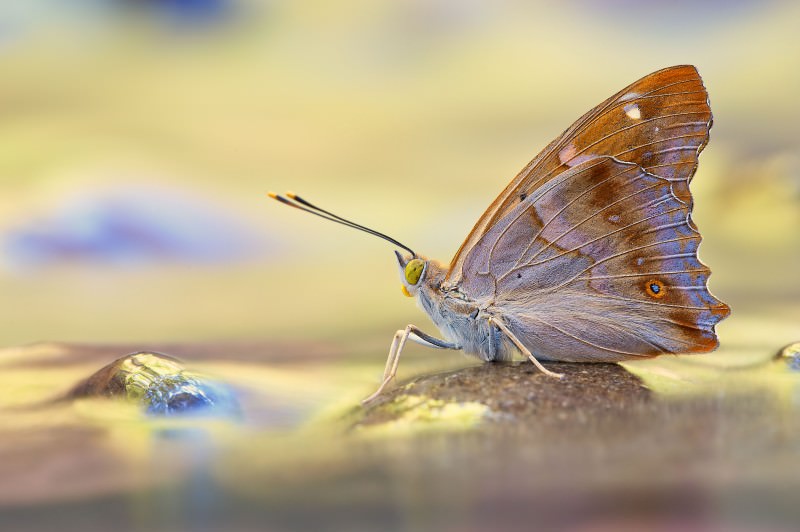 A UN LIDESE IL PRIMO PREMIO DEL CONCORSO FOTOGRAFICO “ANDREA PIEROTTI”