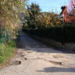 via cenami massaciuccoli (foto Marco Pomella)