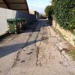 via del teatro massaciuccoli (foto Marco Pomella)