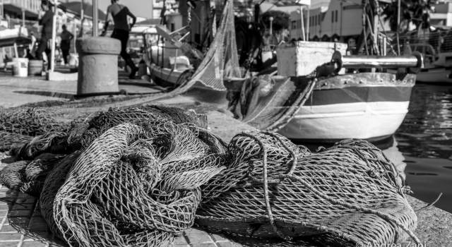 Pesca: mancati indennizzi e fermo pesca. Il Ministero rassicura pescatori toscani su pagamenti