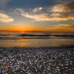 mare spiaggia conchiglie viareggio tramonto battigia (foto Andrea Zani)