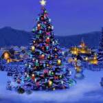ALBERO