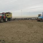 Pulizia spiaggia 1