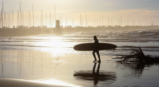 Gira con una tavola da surf rubata, denunciato