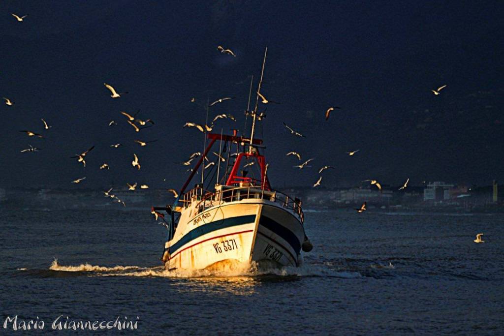 (foto Mario Giannecchini)