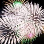 fuochi artificio artificiali