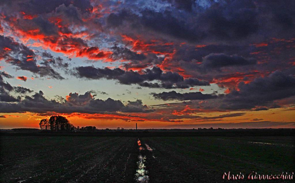 (foto Mario Giannecchini)