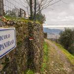 collina camaiore panoramica (foto Andrea Zani)