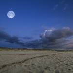 spiaggia notte luna (foto Andrea Zani)