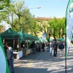 MERCATO Pt 536