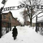 auschiwitz auschwitz 12