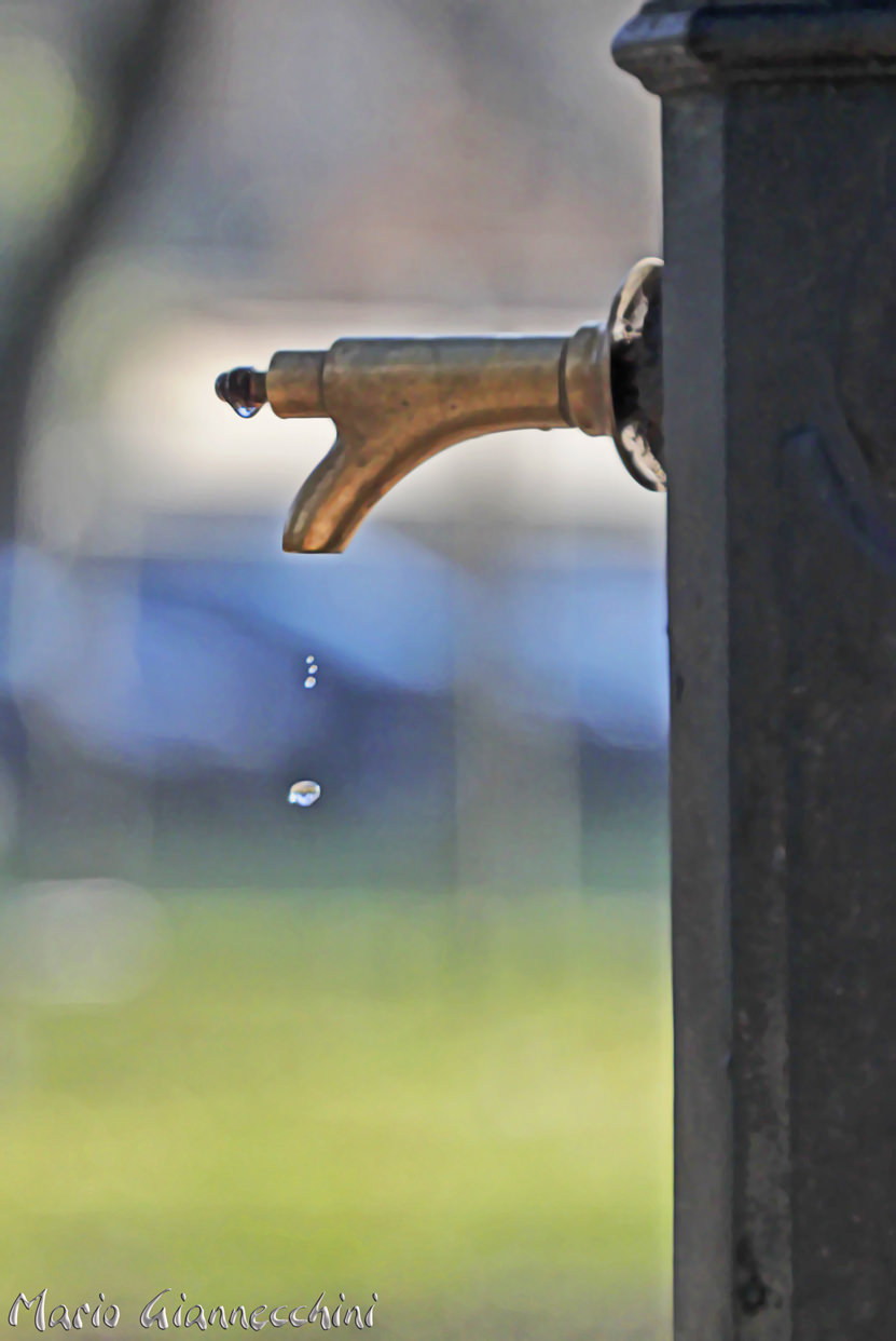 Massarosa, stop all’uso dell’acqua potabile per gli orti