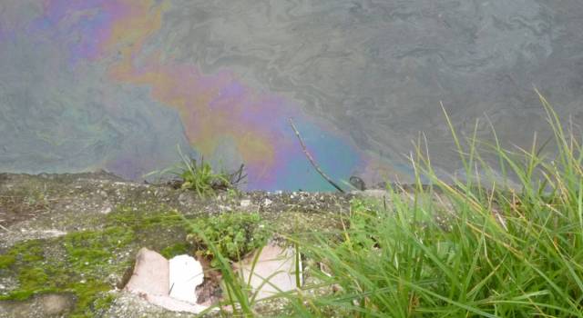 Gasolio in acqua, inquinato il fosso Guidario al Varignano
