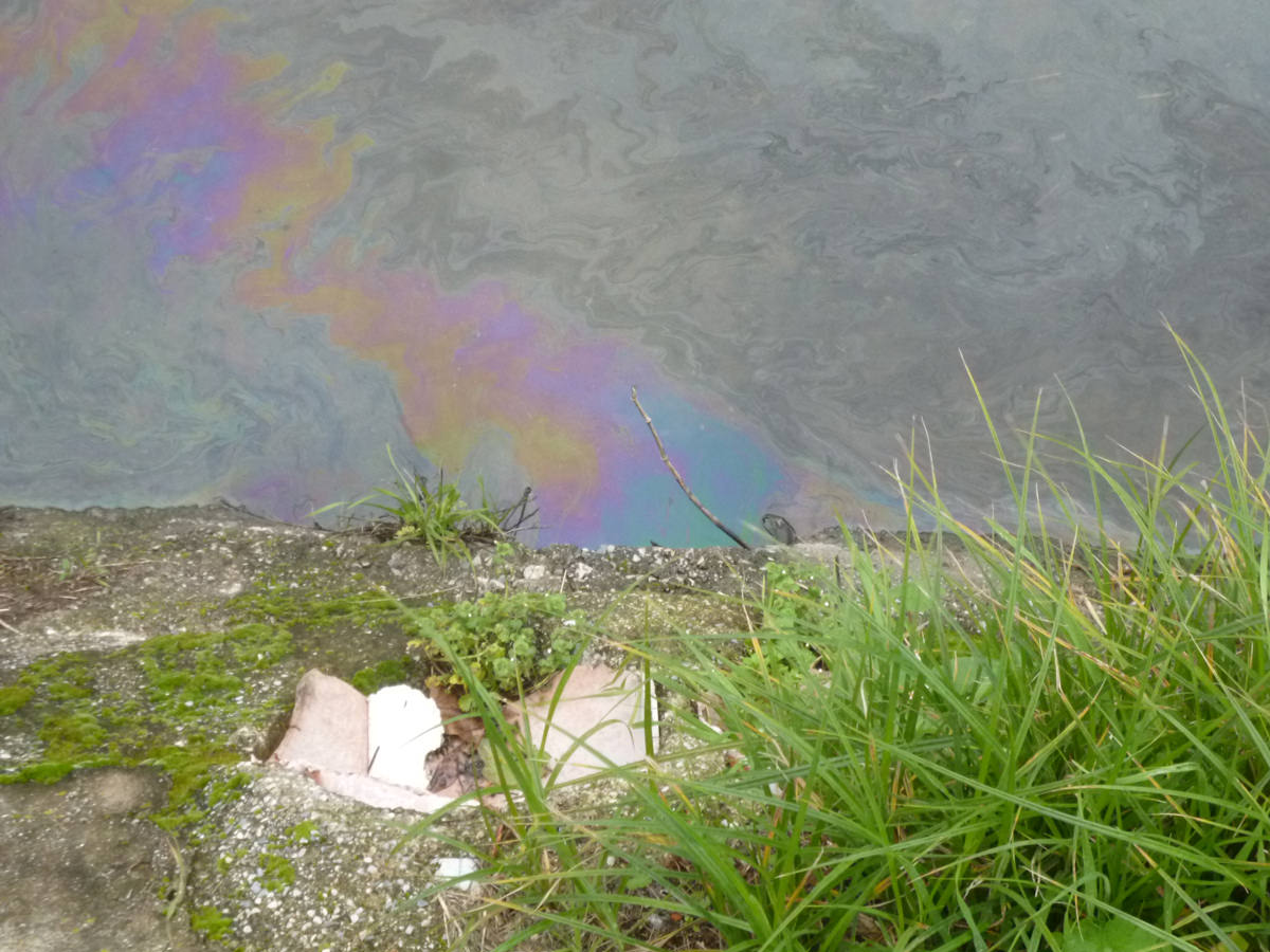 Gasolio in acqua, inquinato il fosso Guidario al Varignano