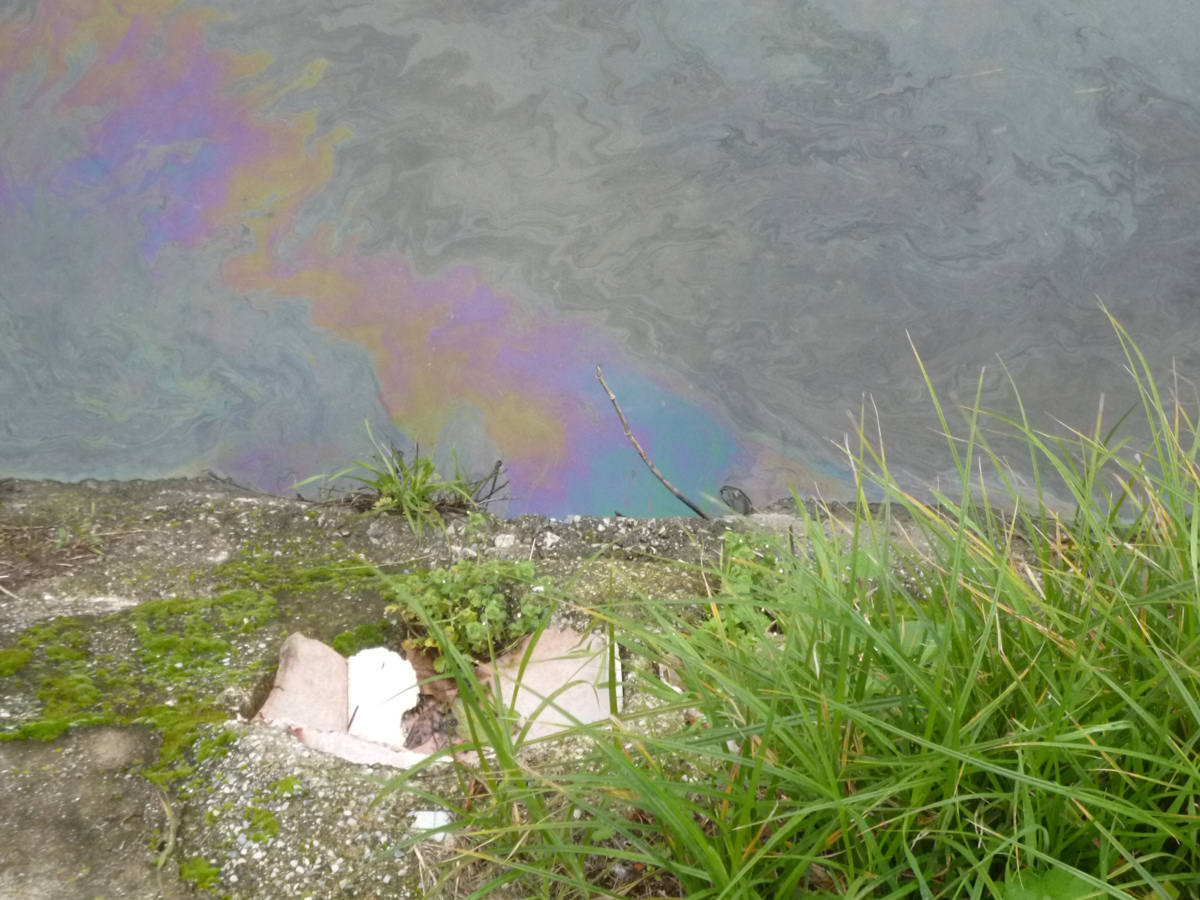 Discariche e fossi inquinati, nuovo esposto di Fare Verde Versilia