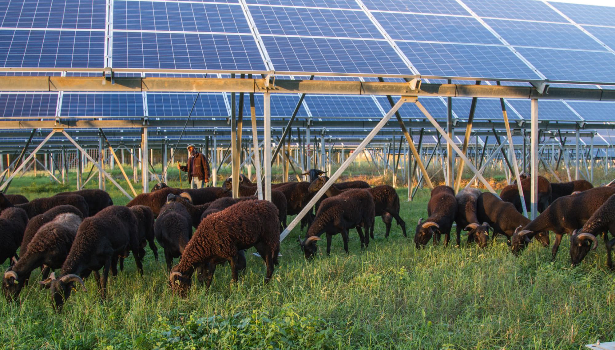 “Stop al consumo di suolo agricolo per impianti fotovoltaici”