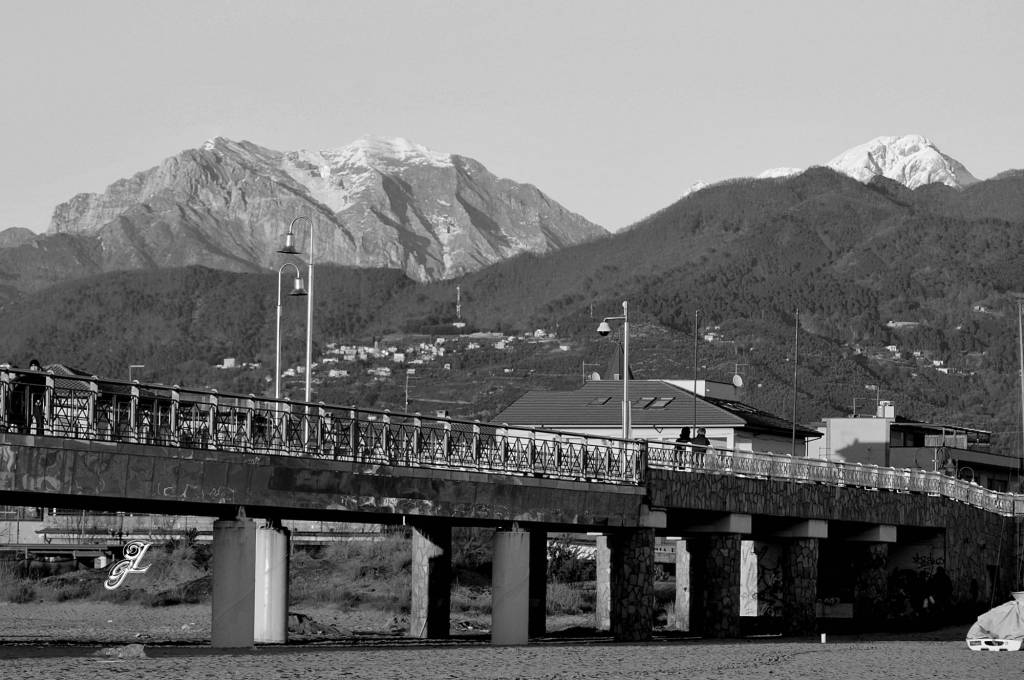 (foto Luca Galeotti)