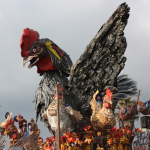 Carnevale viareggio quarto corso (foto Marco Pomella)