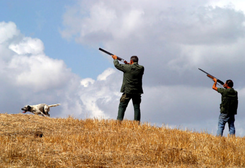 “Sottoambiti Atc, la Regione sbaglia a lucrare su passione dei cacciatori”