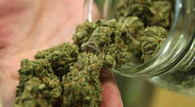 Condanna di sei anni per il medico che si cura con la Cannabis