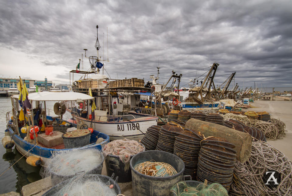 Fermo pesca. L’ultima volta del pesce sulle tavole toscane