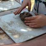 LABORATORI CRETA