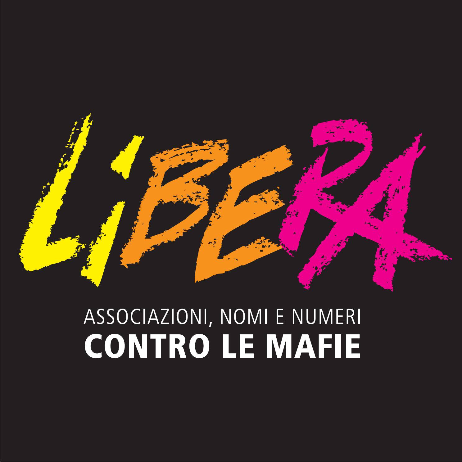 Libera Viareggio incontra i candidati sindaco alle elezioni 2015