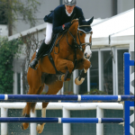 equitazione