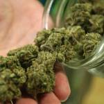 marijuana