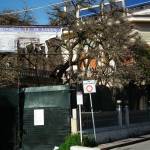 La Provincia di Lucca continua a investire in Versilia, fondi per scuole, canali e Villa Argentina 10 Foto Versiliatoday