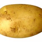 PATATA