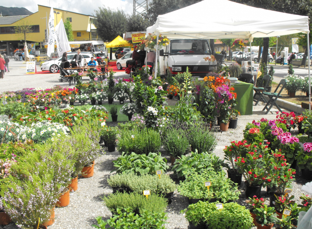 Mostra agrozootecnica