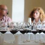 anteprima vini