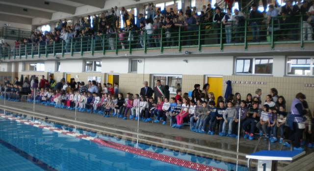 &#8220;Il nostro impegno per il nuoto viareggino&#8221;