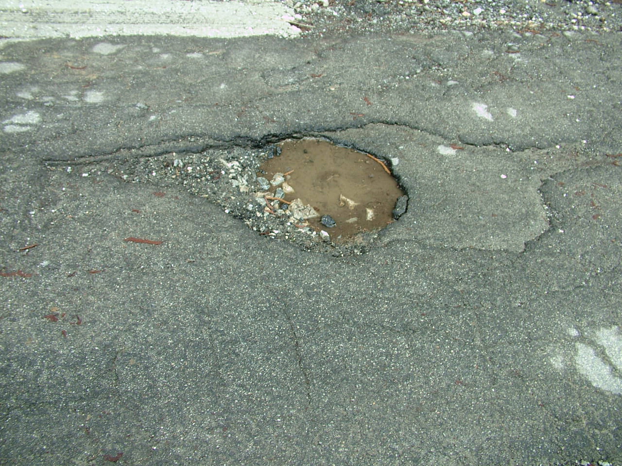 Viareggio, strade devastate dalle buche