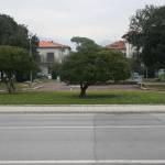 dazzi2