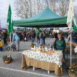 foto mercatino