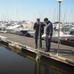 rimozione rete madonnina guardia costiera