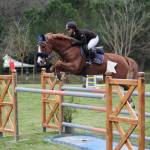 romina romano equitazione