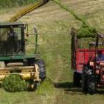 trattori