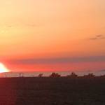tramonto (foto Luigi Maccaferro)