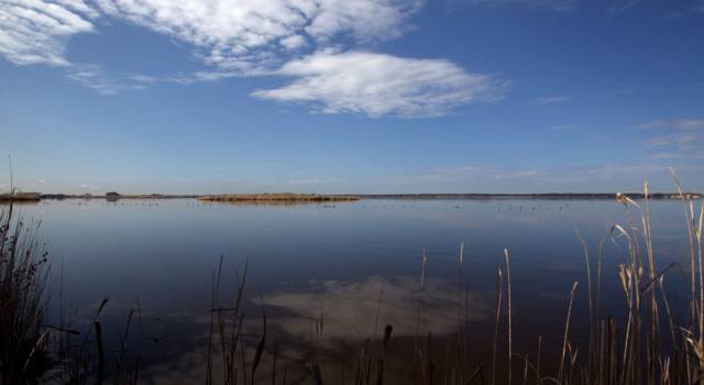 Sequestro sul lago. Il Comune smentisce la Viareggio Porto