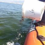 IMG 20130415 WA0006.jpg