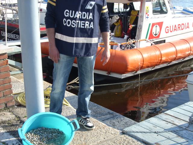 Moria di arselle tra marina di Torre del Lago e Vecchiano