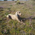 LAPO SETTEMBRE 2010 021