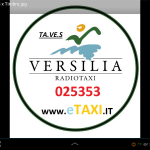 Logo TAVES
