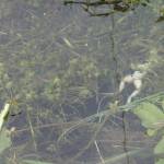 P5080190