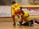 bassano alimac 53