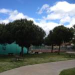 "Altro che nuovi impianti sportivi, serve la manutenzione per evitarne la chiusura" 3 Foto Versiliatoday