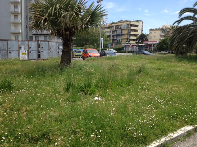 Verde pubblico, nuovi interventi di sfoltimento dell’erba da Torre del Lago a Città Giardino